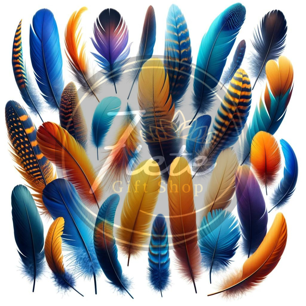 Multi-Feathers-PNG