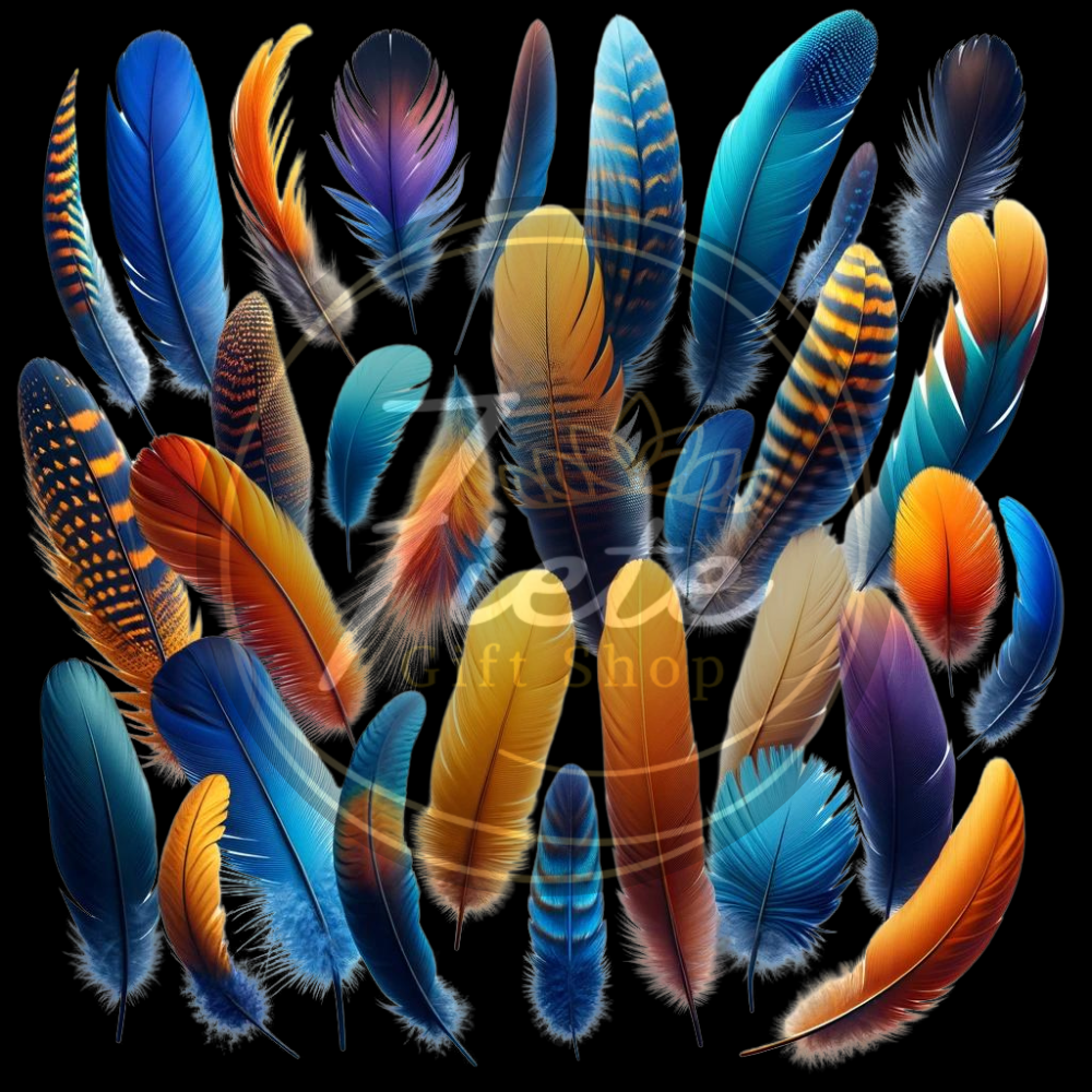 Multi-Feathers-PNG